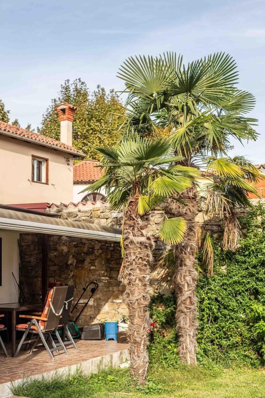 Apartamento Cozy Corner Koper Exterior foto
